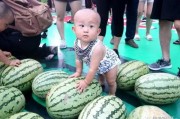 吃瓜汇总视频,盘点热门事件背后的真相与笑料